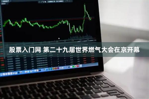 股票入门网 第二十九届世界燃气大会在京开幕