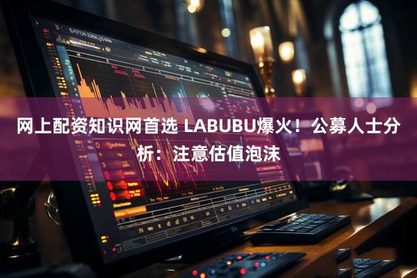 网上配资知识网首选 LABUBU爆火！公募人士分析：注意估值泡沫